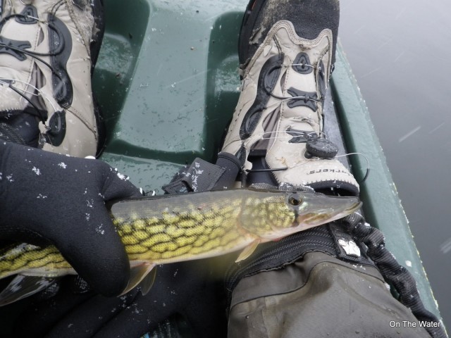 kayak-winter-pickerel pickerel cape cod winter snow