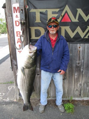 With a little help from some friendly fishermen nearby, Walter landed this fine 27-pound bass in the Cape Cod Canal and weighed it at M and D&rsquo;s in Wareham.