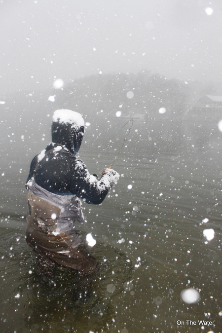Cape cod anglers have been contending with some tough winter weather lately, but trout are still biting in the larger ponds on shiners and slowly retrieved lures.