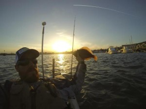 North Shore kayaker Eric Attridge pedaled his Hobie kayak out into Beverly Harbor and officially started flounder season with this flattie!