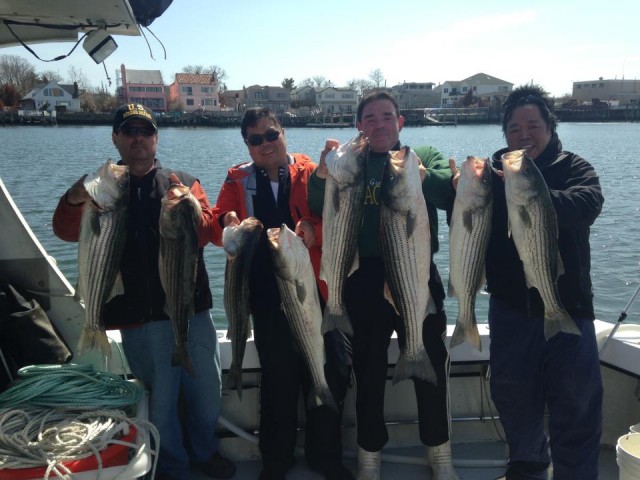 South Shore Stripers