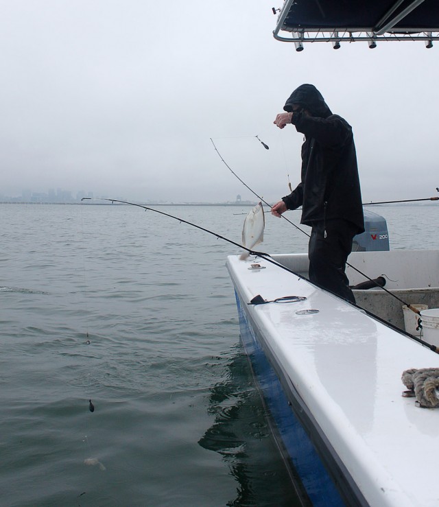 Over the rail, into the pail!