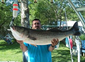 Michael Nagle CC Striper