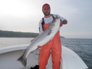 Peter Douma with a 32lb bass that took a spook on Reel Cast Charters.