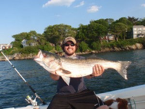 Paul Burns used a live mackerel to catch this Salem Sound striper on June 1.