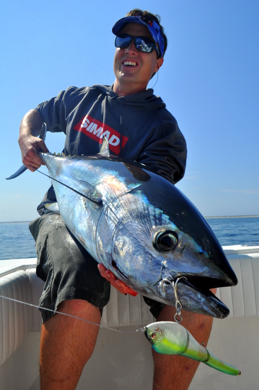 Race Point tuna 063