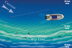 Trolling a Rip: Whenever possible, troll with the current when working a rip. Gamefish usually face into the current, looking for food to come their way. In ideal conditions the current will swing your lures over the bar.