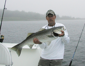 CT Striper