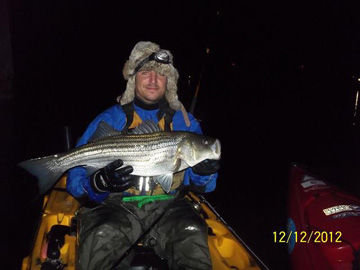 Determined to land a December striper, Matthew StPierre ventured out after dark in his Hobie kayak to land this Boston-area holdover.