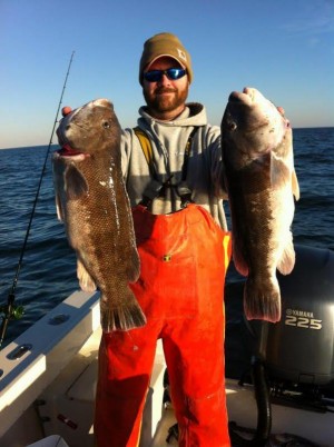 Spring tog season opened on April 1 in New Jersey, with a creel limit of 4 fish at 15 inches. Sea Isle B&T recommends salted clams this early in the season and a faster rod with a sensitive tip, as the bites are often very light in cold water. 
