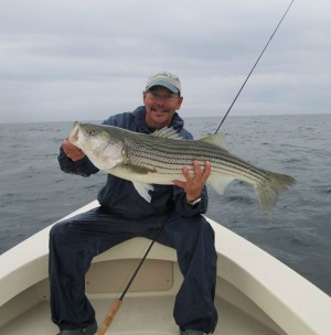 Vin Foti with another Monomoy striper, submitted for the Striper Cup Catch & Release Photo Contest