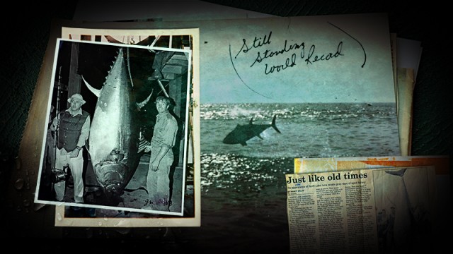 Captain Cor Keus showed us this photo of the IGFA 80lb-class world record 1,1116lb Giant, caught aboard during a Northlake Charters trip. Cor also held the all-tackle world record before it was broken by Ken Frazier in 1985.