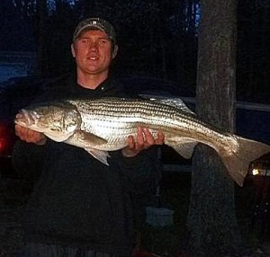 David McCoubrey nabbed his first keeper striper of the season this week from a beach on the south side of the Cape. 