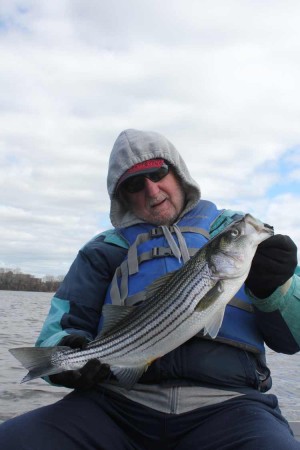 Stripers are here! At least holdovers are such as this one caught by Carl Vining of Somerville recently.