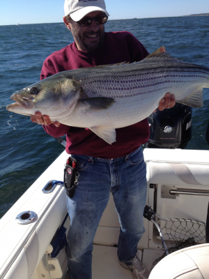 Carlo Zafanella with a striper in the 25-30 pound range while fishing off Chatham last week.