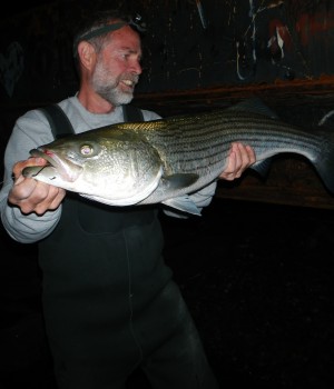 Dave Flaherty, just before releasing this fine bass unharmed thanks to a circle hook.