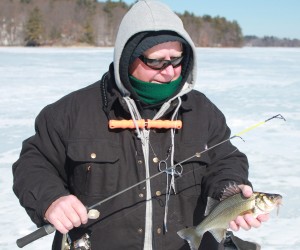Dave Panarello of Malden took this nice white perch on a Swedish pimple.