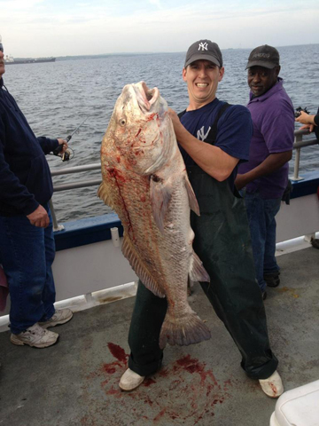 dennisoliverobe66d67000