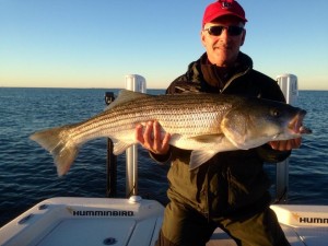 Doug Lajoie had a morning of excellent topwater bassing with Captain Blaine Anderson.