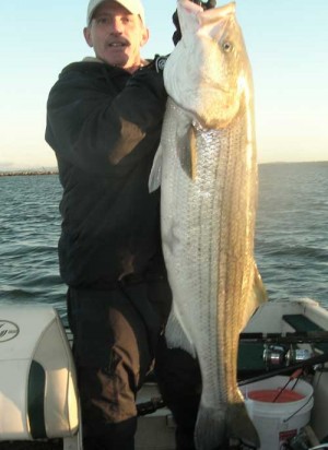 Mark Marciano of Vernon, CT caught this 53"/44-pound slob less than a mile from shore somewhere in eastern Connecticut.