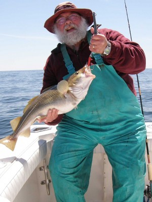 Jigs are the way to go when cod are actively feeding on sand eels and herring.