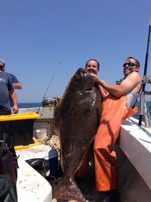 This Tuesday, Bob Simard III caught this 100-pound halibut while fishing aboard the Lady Courtney Alexa on Phippennies Ledge.