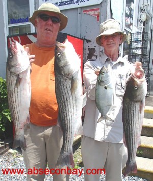 Dave Showell of Absecon Bay Sportsman Center (right) and Dave Morris with a nice catch of bass and bluefish caught fishing live spot along the sodbanks.
