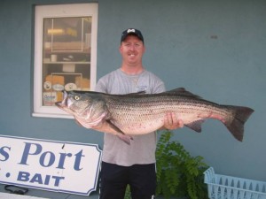Mike Seminara caught this 48"/34lb bass in 30' of water off Sandy Neck Beach.