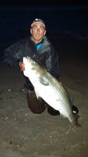 Local Charter Captain and part time night stalker Brian Williams from Ocean City poses in the dark with a monster 53lb striper taken on a plug near his home base.  That was all the info he was willing to give up!