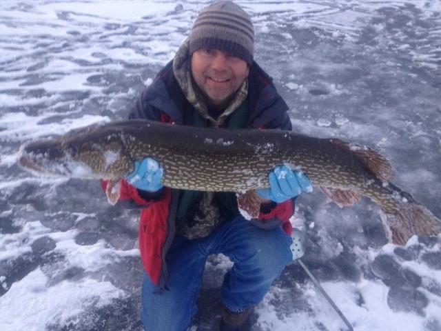 This big Cape Cod pike was pulled through the ice on February 1.
