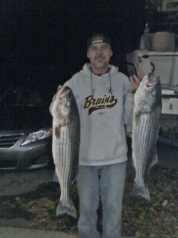 Boston Striper