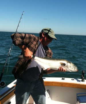 Matt Hawes with a 12-pound bluefish caught near Horseshoe Shoal last Saturday.