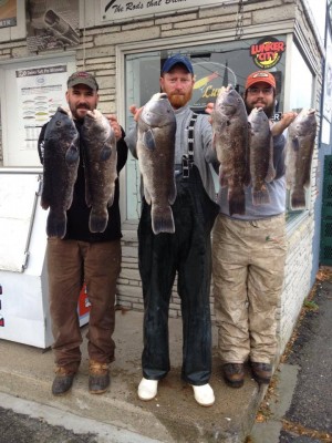 Watch Hill Outfitters customers; Mike, Ben and Stefen enjoyed a great Veteran’s Day of local blackfishing.