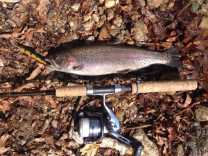 OTW reader Sean McAuley caught this rainbow during his lunchbreak on a Falmouth pond.