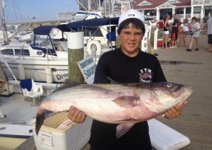 Reilly Hobe, winner of the Striper Cup's Youth Division for August  is pictured here on Block Island with a cow.
