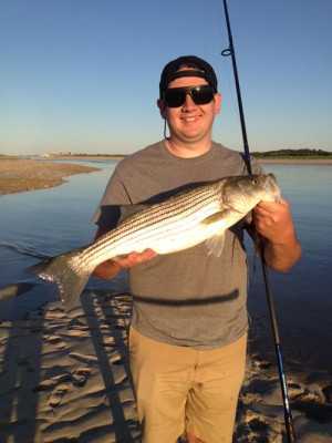 Brandon Straight caught this keeper striper on a Sandwich beach using a Roberts Hammer Lure.