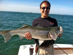 Frank Torbey took this 40 incher with a live eel off Hyannis last Sunday.