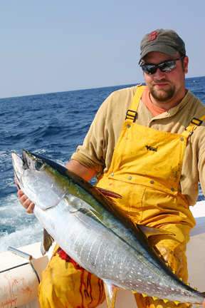 yellowfin tuna
