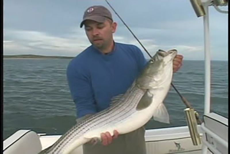 Eeling the Elizabeths and Multispecies Sharkin' | S1 E01 - On The Water