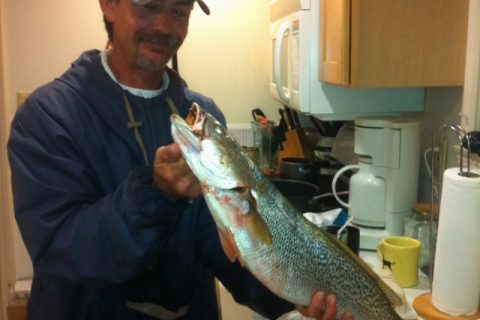 Vineyard Weakfish