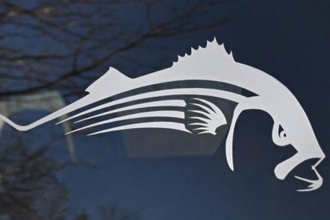 Fishing Flair for your Vehicle