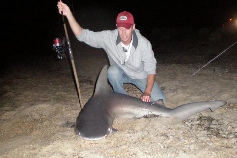 Brown Sharkin’ on Rack and Fin Radio