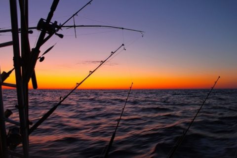 Back To The Edge (Canyon Report 8/12-8/13)