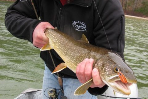 Field Test Favorites: Tactical Anglers Sniper Jacket