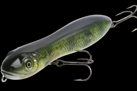 Weekend Sportsman Show Finds (Philadelphia)