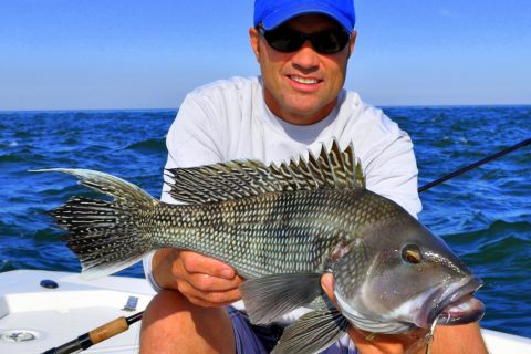 NOAA Fisheries Closes Black Sea Bass