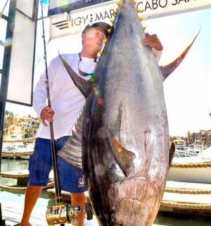 Yellowfin Tuna World Record Approved