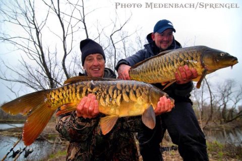 Mirror Carp Fishing Report