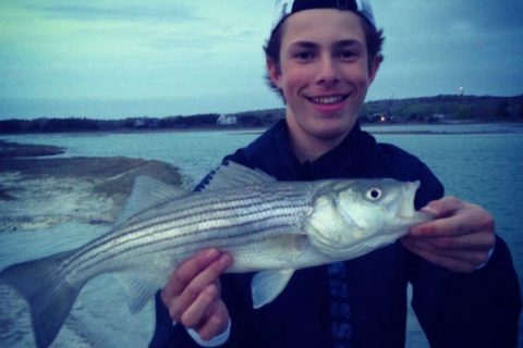 Frenzy Fishing: A Blog by Ben Taylor