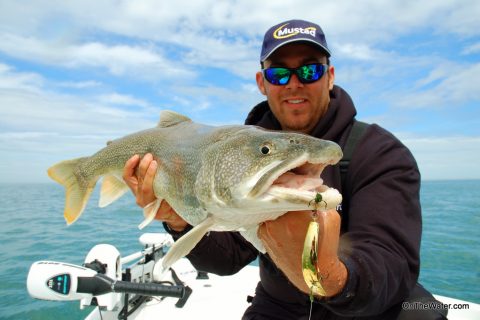 Lunker Lakers in Lewiston, NY